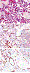 FIG. 1.