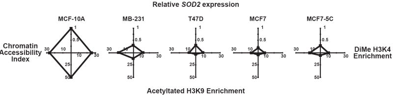 Fig. 8