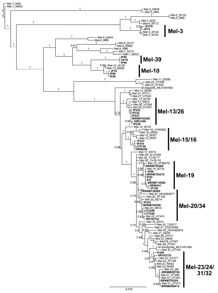 Figure 1.