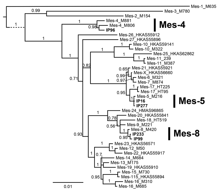 Figure 2.