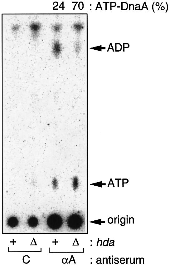 graphic file with name cde401f2.jpg