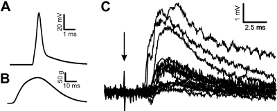 Fig. 9.