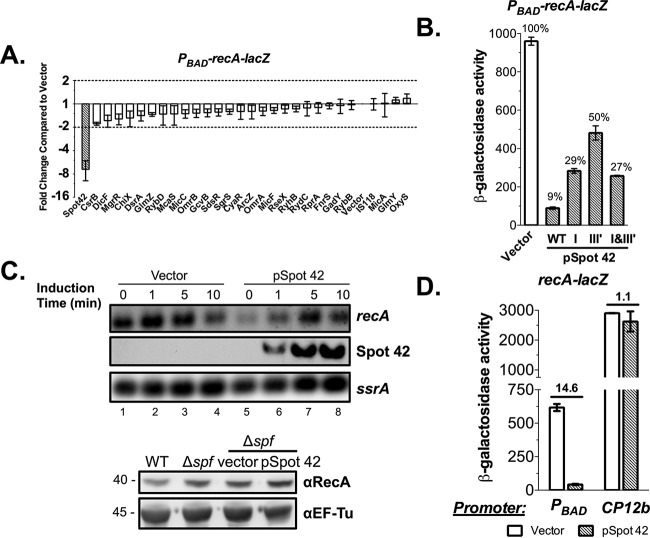 FIG 1