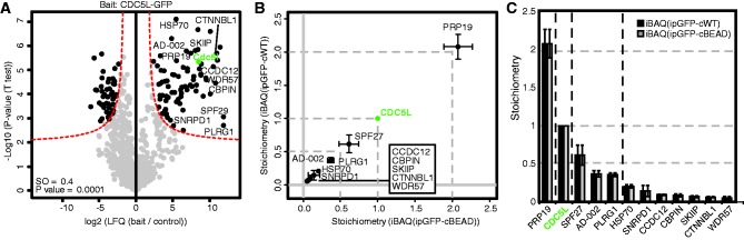 Figure 2.