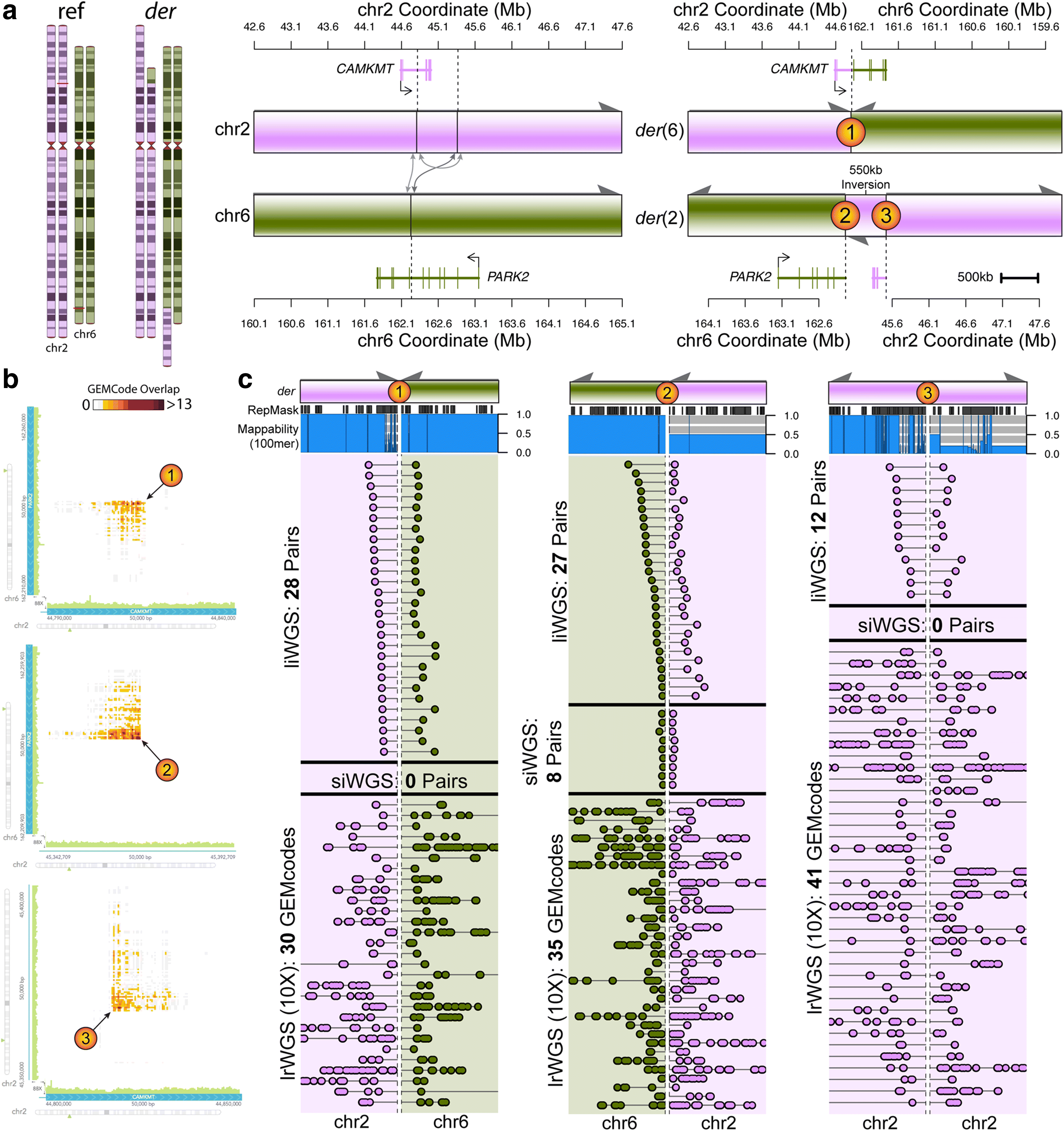 Fig. 3