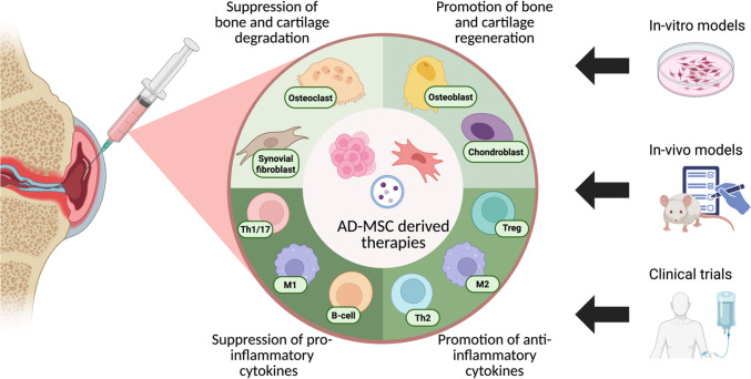 graphic file with name 12015_2025_10909_Figa_HTML.jpg