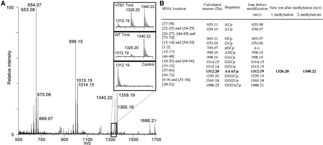 Figure 6.