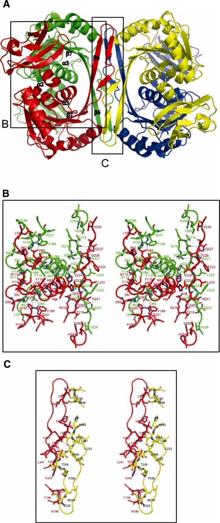 Figure 2.