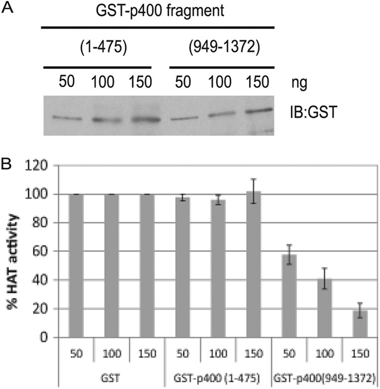 Fig 5