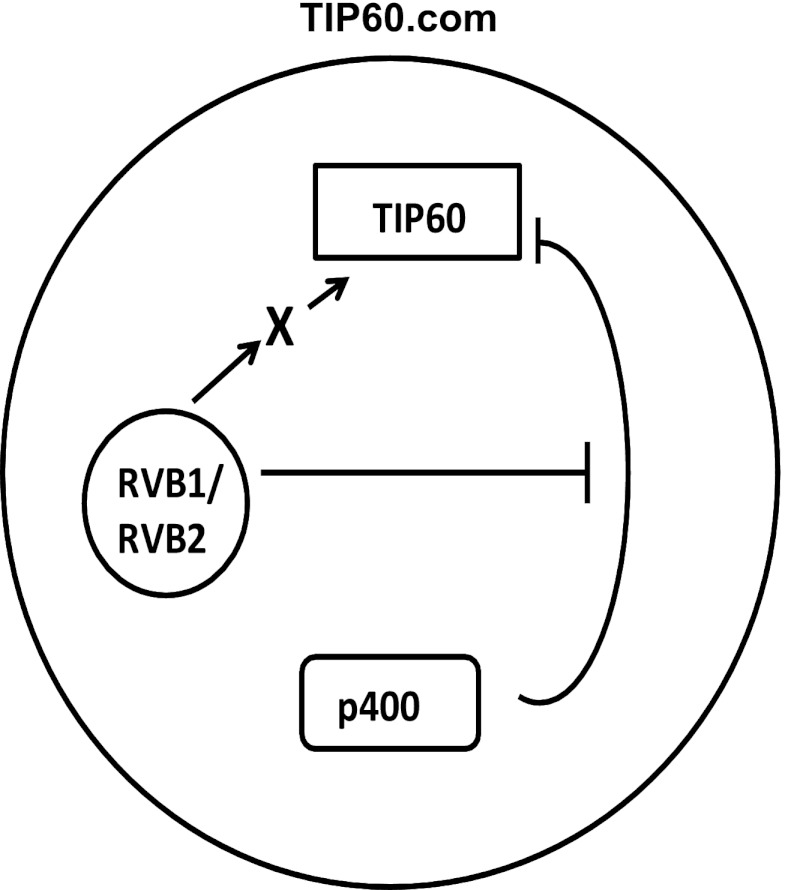 Fig 11