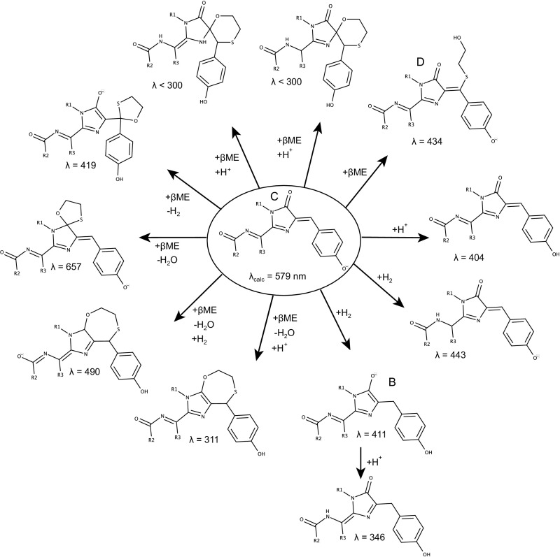 Fig. S4.