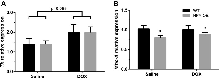 Fig. 7