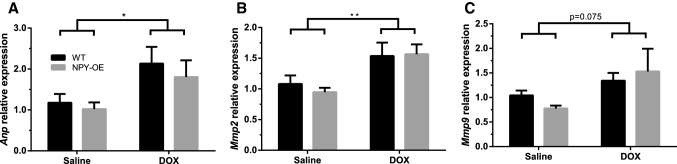 Fig. 6