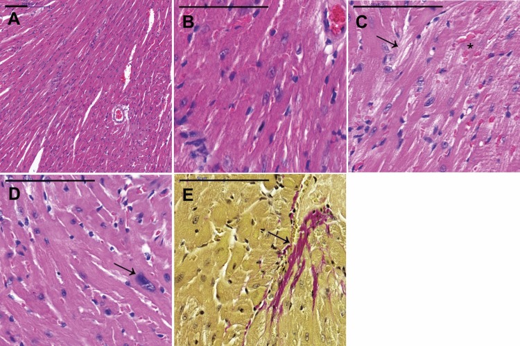 Fig. 3