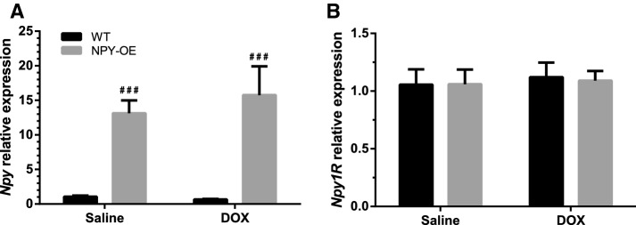 Fig. 4