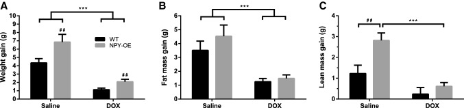 Fig. 1