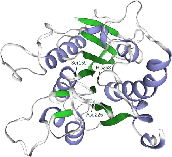 Fig. 2