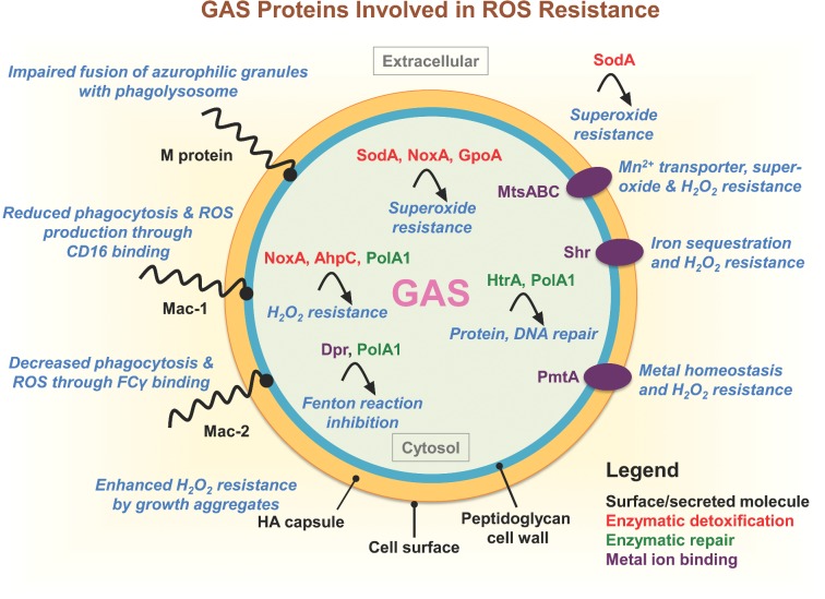 Figure 2.