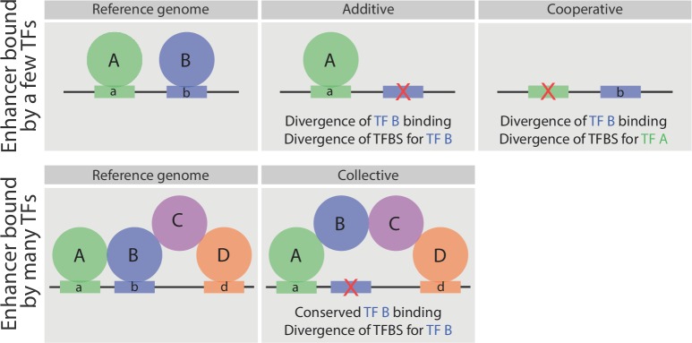 Figure 7.