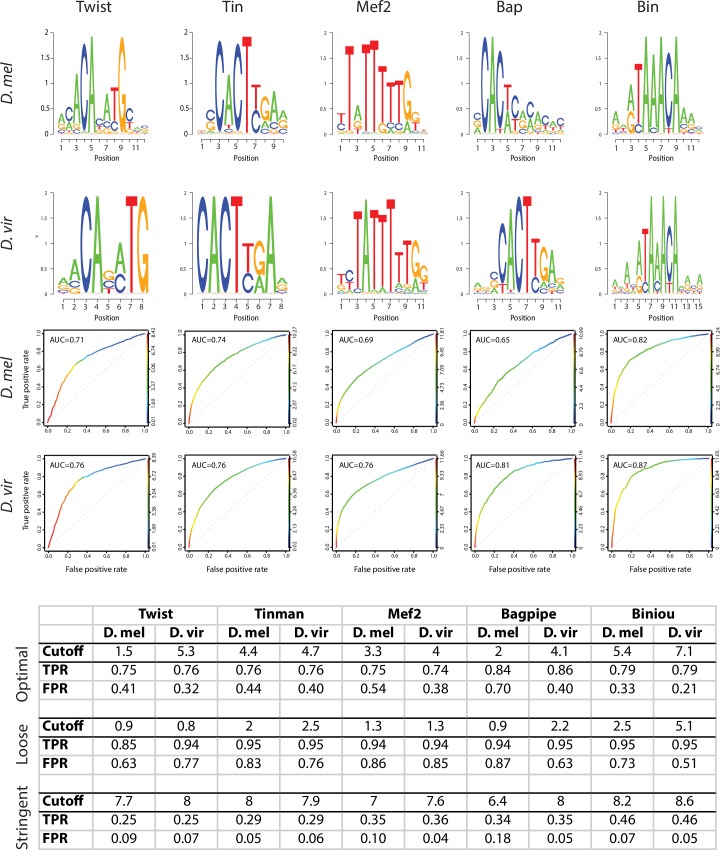 Figure 1—figure supplement 2.