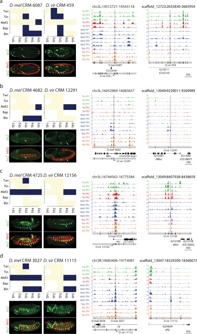 Figure 6—figure supplement 1.