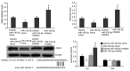 Figure 13.