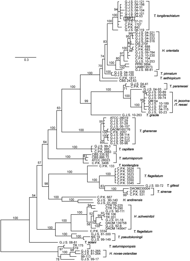 Fig. 3.—