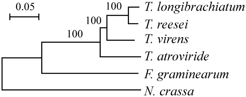 Fig. 1.—