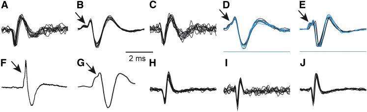 Figure 3