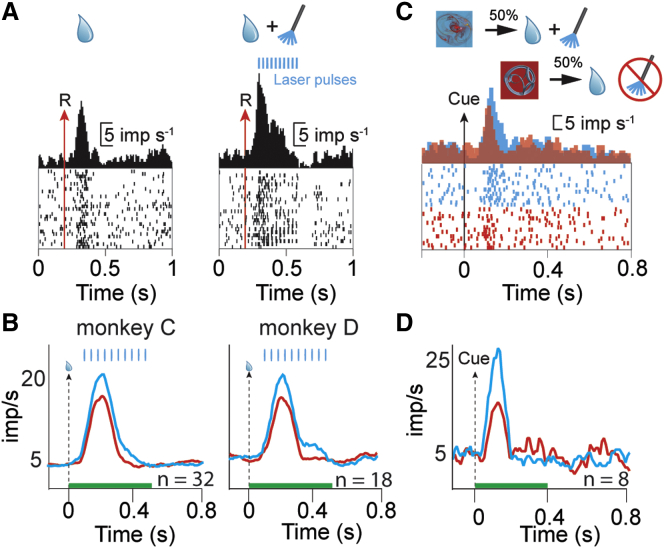 Figure 5