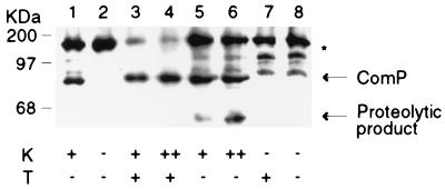 FIG. 6