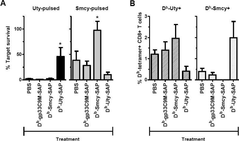 Deletion of naïve T cells recognizing the minor histocompatibility ...