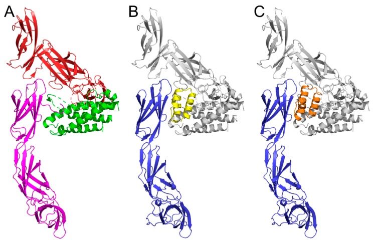 Figure 7