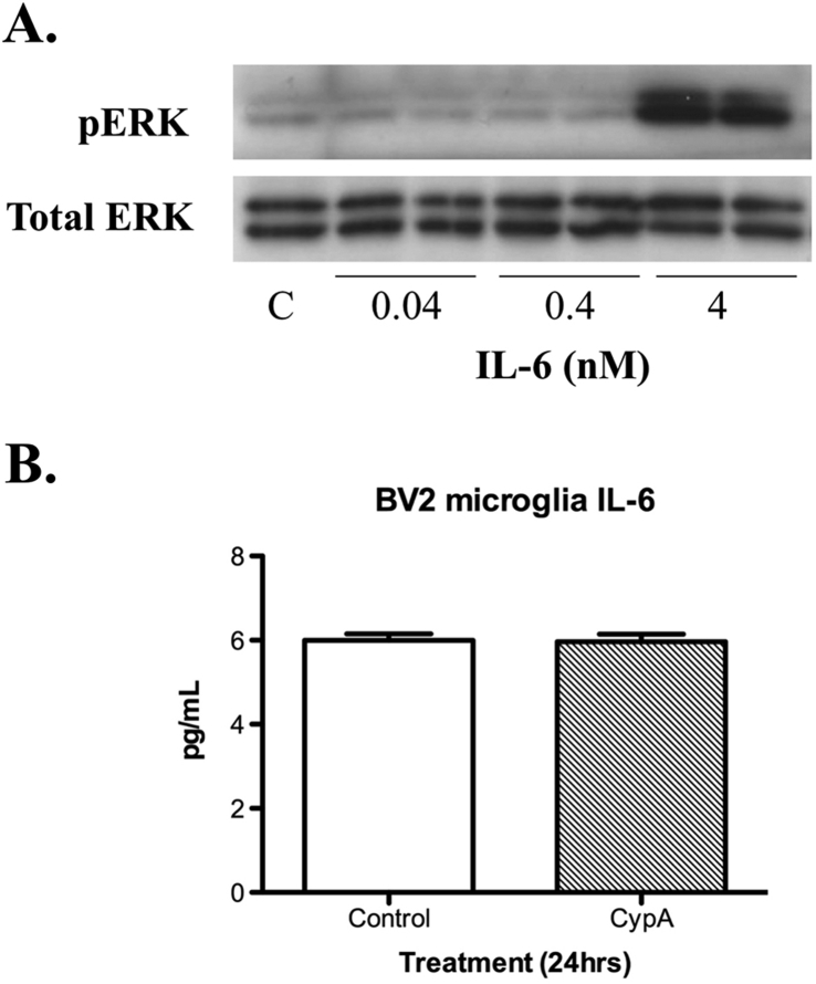 Fig. 6