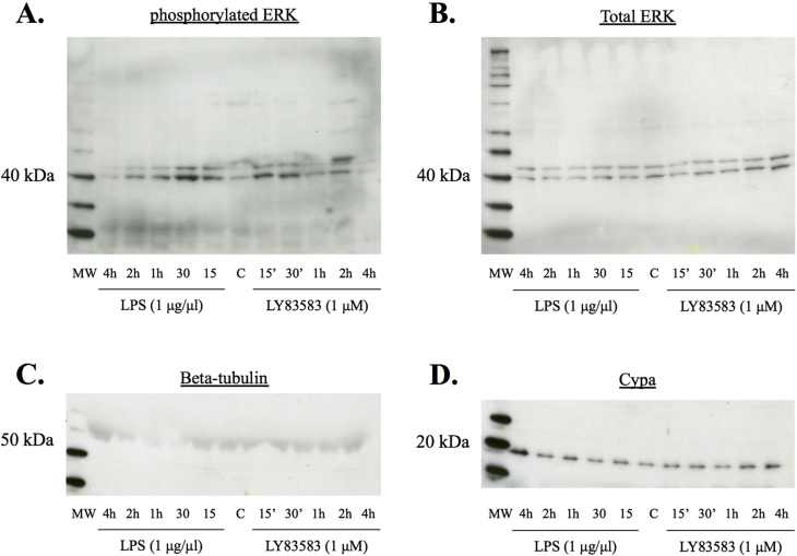 Supplementary Figure 2