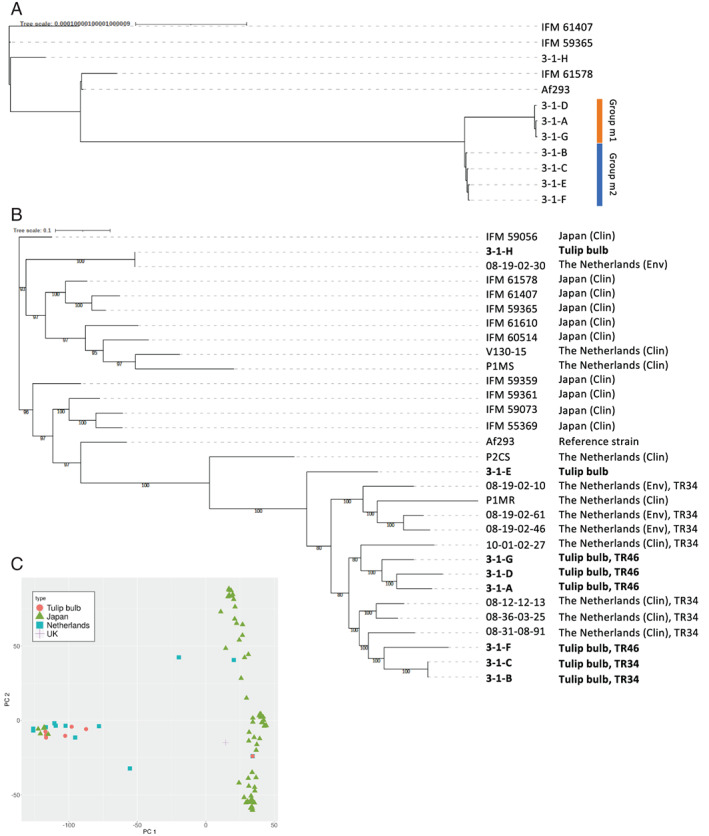 Fig. 4