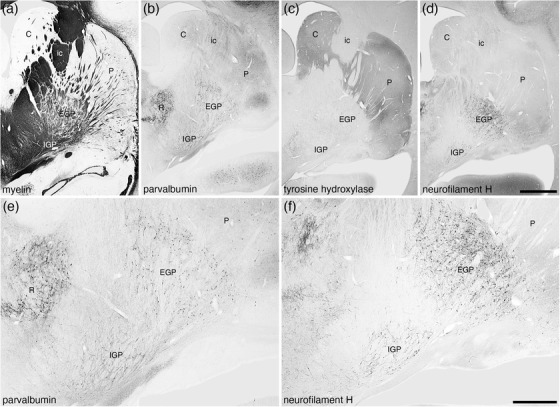 FIGURE 24