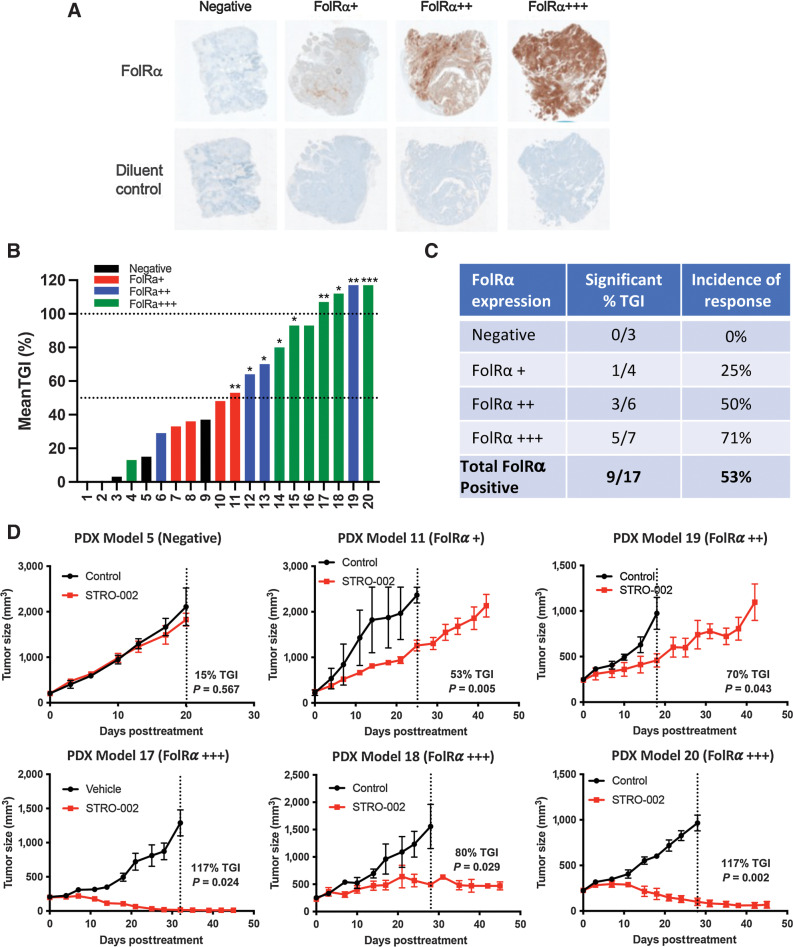 Figure 6. Robust STRO-002 monotherapy efficacy in endometrial PDX models with different levels of FolRα expression. A, Representative IHC images of FolR𝛼 expression in endometrial PDX models. B, Bar graph shows mean TGI for 20 endometrial PDX tumors in response to weekly 10 mg/kg STRO-002 treatment. Models are color coded based on FolRα expression levels and lines indicate 50% and 100% TGI. C, Table summarizes the number of models with statistically significant TGI and incidence of response for PDX models grouped by expression level. D, Representative tumor growth curves of endometrial PDX models that express negative, low, moderate, and high FolR𝛼 with significant efficacy in response to STRO-002 treatment.