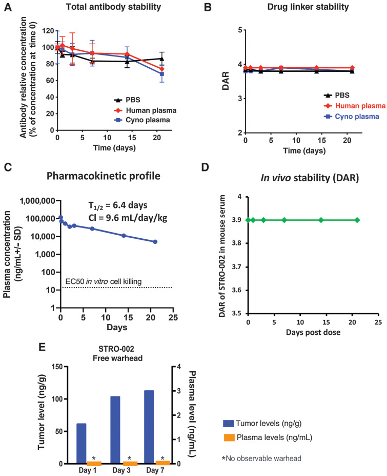 Figure 3. In vitro and in vivo stability of STRO-002. A, STRO-002 antibody stability in human plasma and cyno plasma measured by anti-FolR𝛼 ELISA shows STRO-002 antibody is stable up to 21 days in plasma. B, Drug linker stability of STRO-002 in human and cyno plasma measured by LC/MS demonstrates STRO-002 DAR is stable up to 21 days in plasma. C, PK profile of STRO-002 total antibody in non–tumor-bearing mice. STRO-002 displayed PK profile similar to other antibodies. D, STRO-002 drug linker is stable for up to 21 days in mice indicated as DAR determined by LC/MS. E, Release of SC209 in Igrov1 tumors bearing mice dosed with a single intravenous bolus dose of 5 mg/kg STRO-002. SC209 is only detected in tumor, and not in plasma (LLOQ = 0.02ng/mL).