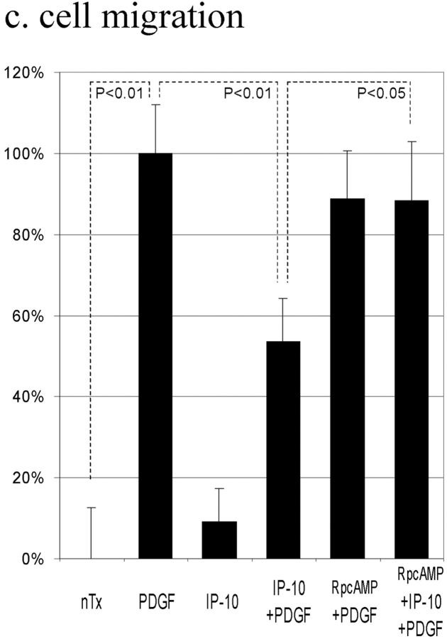 graphic file with name JCB9812049.f8c.jpg