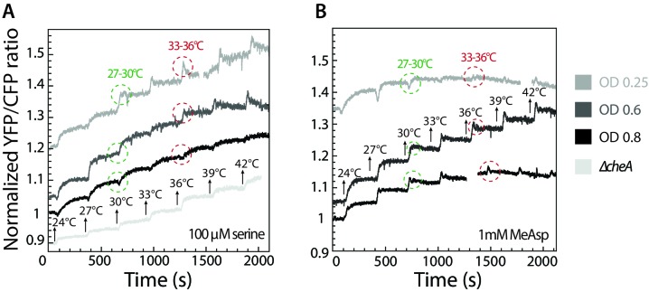 Figure 3—figure supplement 4.