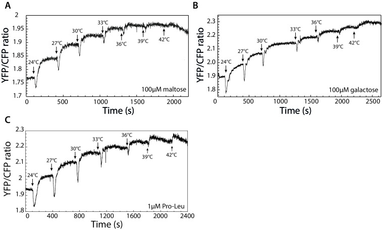 Figure 3—figure supplement 5.