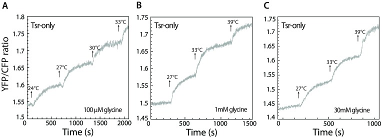 Figure 3—figure supplement 2.