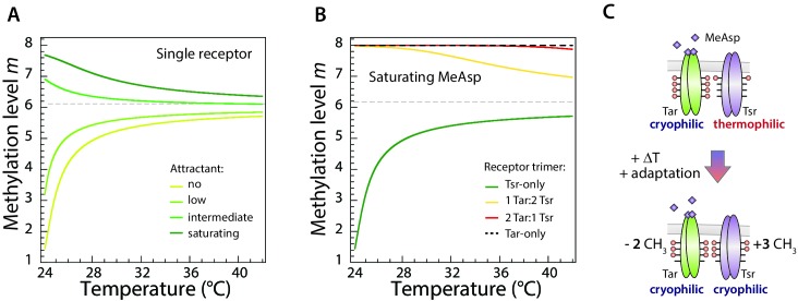 Figure 4—figure supplement 1.