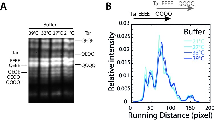 Figure 1—figure supplement 2.