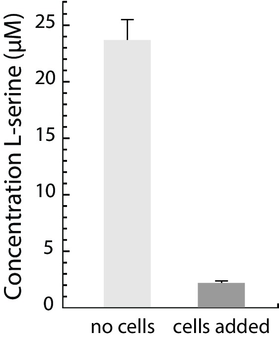 Figure 3—figure supplement 3.