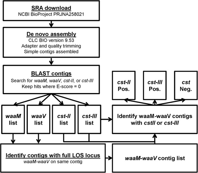 FIGURE 3