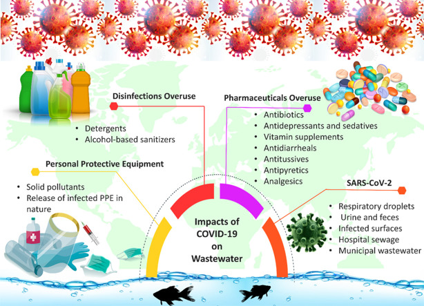 Unlabelled Image