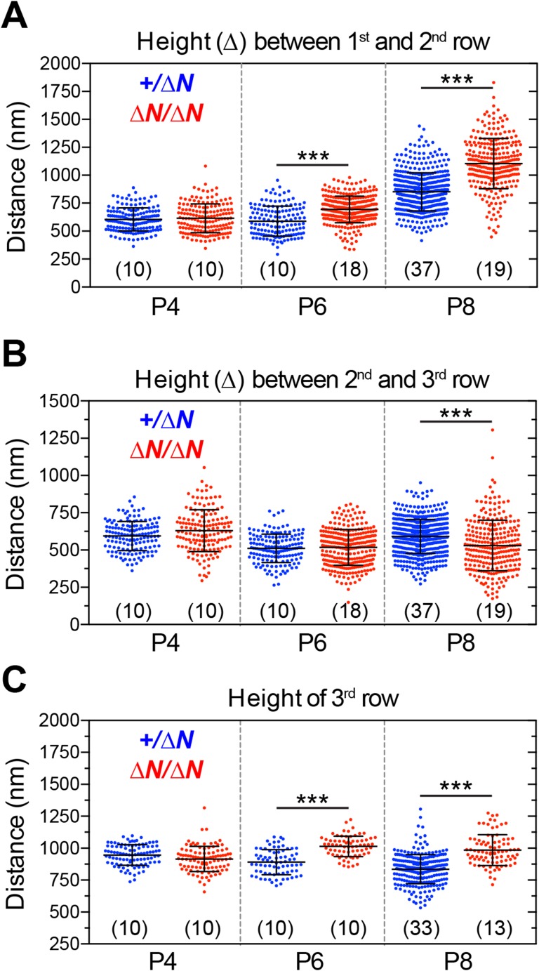 Figure 7—figure supplement 2.