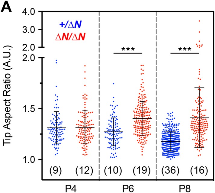 Figure 7—figure supplement 3.